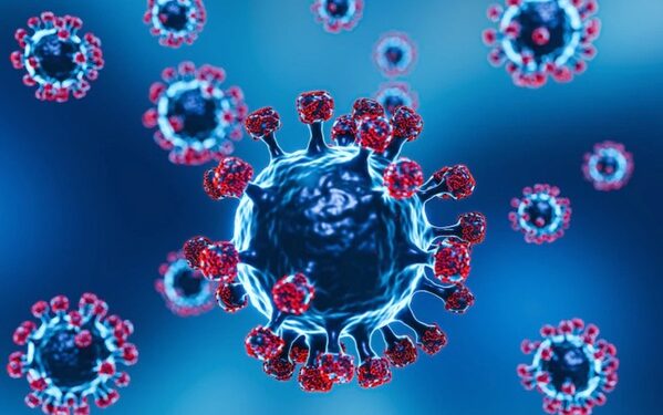 The People Who Were Considered Paranoid About COVID-19 Turned Out to Be Correct