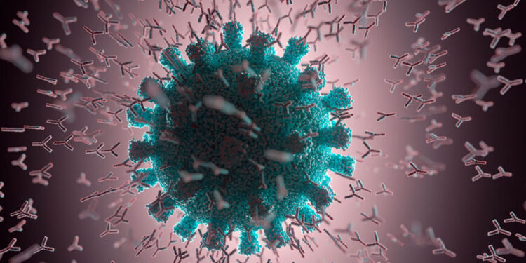 The Latest Research Reveals Immune Fatigue After Receiving the Third Vaccine Dose – What You Need to Know