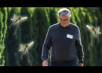 Bill Gates-Funded Factory Breeds 30 Million Mosquitoes a Week for Release in 11 Countries
