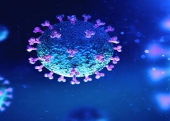 Wuhan researcher claims China engineered COVID-19 as a 'bioweapon'