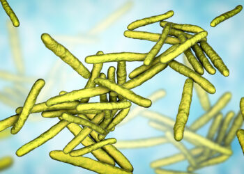 Cases of leprosy on the rise in Florida, report says