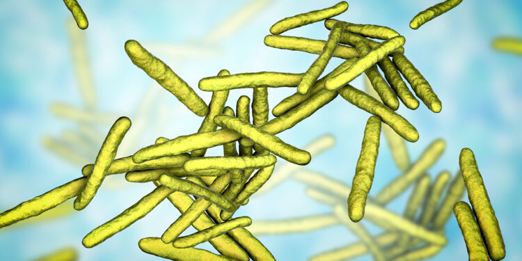 Cases of Leprosy on the Rise in Florida, Report Says