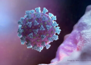 US CDC says new COVID lineage could cause infections in vaccinated individuals