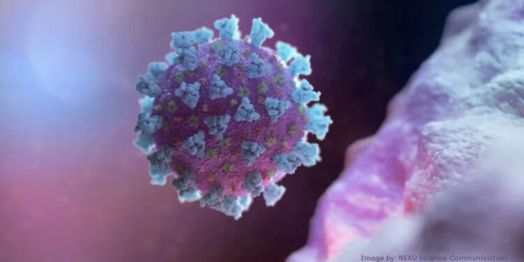 CDC Warns: New COVID Lineage Poses Risk of Infections Among Vaccinated Individuals