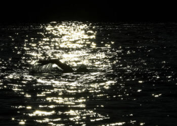 Two people die in swimming portion of Ironman Cork triathlon competition in Ireland