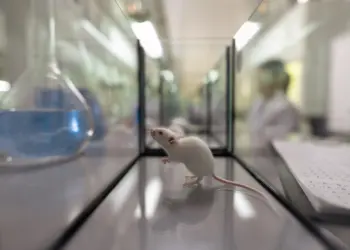 ‘Mice Engineered to Carry COVID?!’ – Illegal Lab Found in California, Tied to China