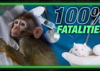 Governments & Universities Secretly Studied COVID Vaccine Before Rollout: Shots Killed 100% of Mice, Monkeys