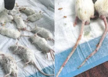 Judicial Watch Uncovers Key Documents and Photos on Chinese Covid Labs in California