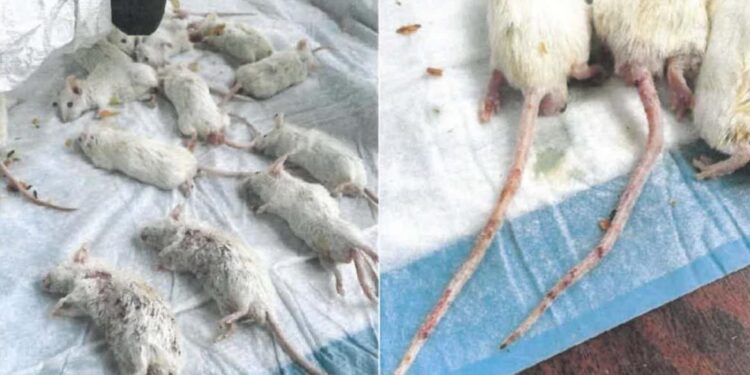 Judicial Watch Exposes Key Documents, Photos Revealing Hazardous Chinese COVID Labs in California