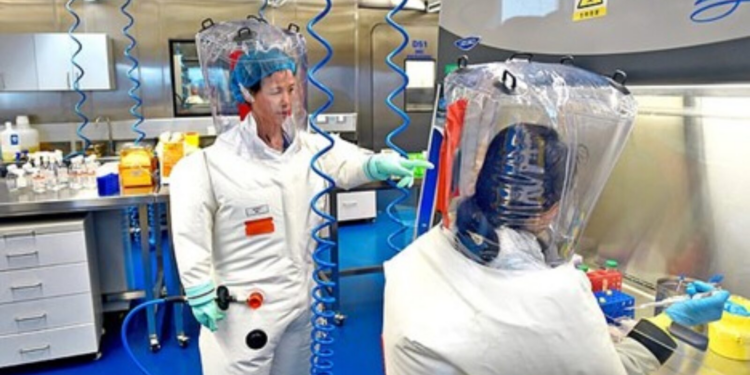 Chinese Scientists Uncover EIGHT Novel Viruses on Tropical Island, One Related to COVID-19 – Now They Plan to Experiment With Them