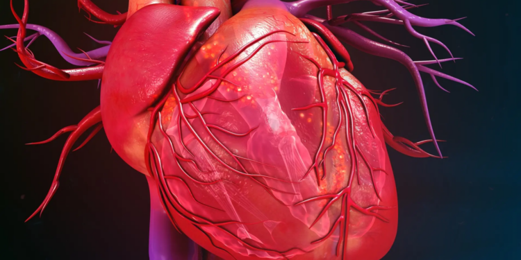 COVID-19 Vaccine Found in Dead People: Study