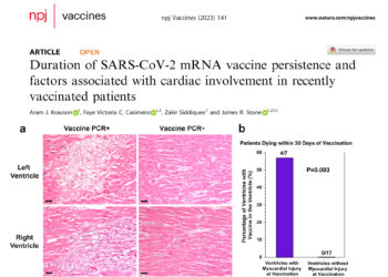 Vaccine mRNA Found in Human Myocardium