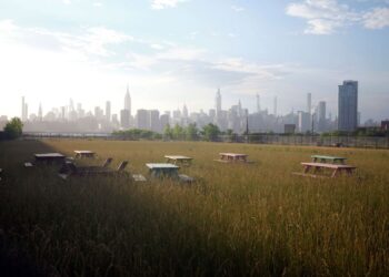 COVID Lockdowns Were a Giant Experiment. It Was a Failure.