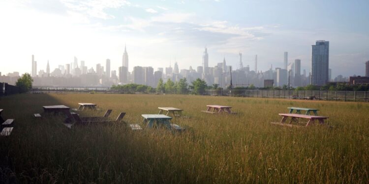 COVID Lockdowns: A Massive Experiment That Failed