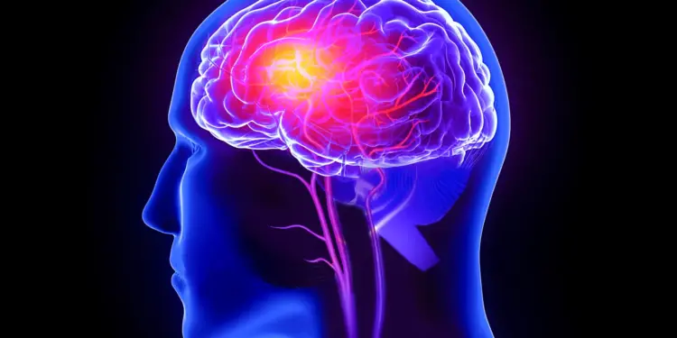 Unusual Psychiatric Cases Reported Among COVID Vaccinated: Psychosis, Panic Attacks, and Hallucinations