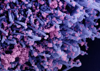 COVID Reinfections Clear Faster, Including in Unvaccinated People: Study