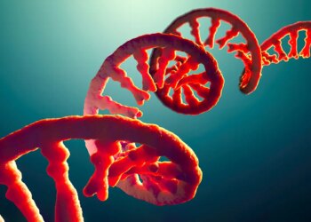 Self-Amplifying RNA Shots Are Coming: The Untold Danger