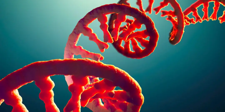 The Untold Danger of Self-Amplifying rNA Shots