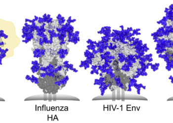 Confirmation of Mutated SARS-CoV-2 Virus Leakage from... (APA style)