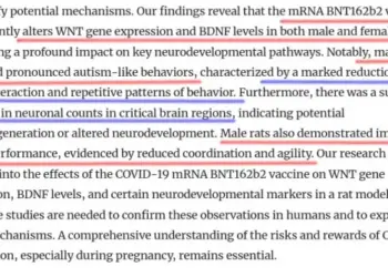 The Link Between Covid Vaccines and Autism in Laboratory Rats: Findings from a Study - LewRockwell