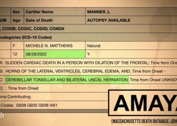 Researcher Reveals Hidden Vaccine Death Data: Unveiling the Truth behind "Felony Murder"