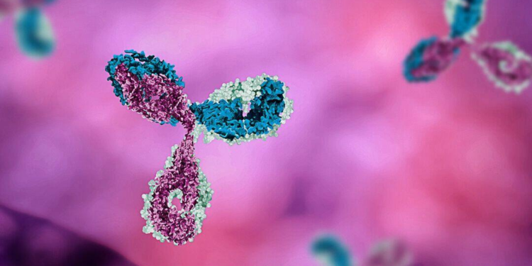 Understanding the Immune Response of Vaccinated Individuals to COVID-19 mRNA Boosters