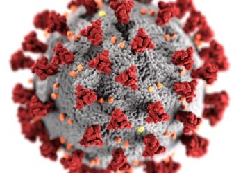 The CDC Finally Acknowledges that COVID-19 Resembles Influenza