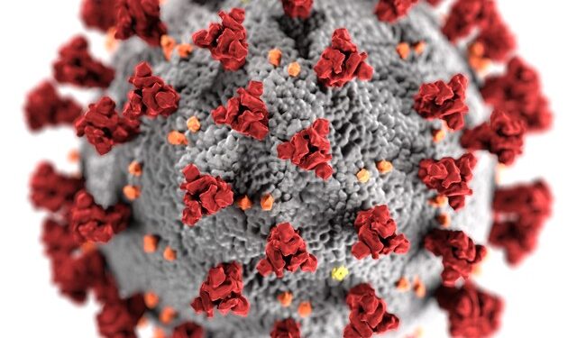 The CDC Finally Acknowledges that COVID-19 Resembles Influenza