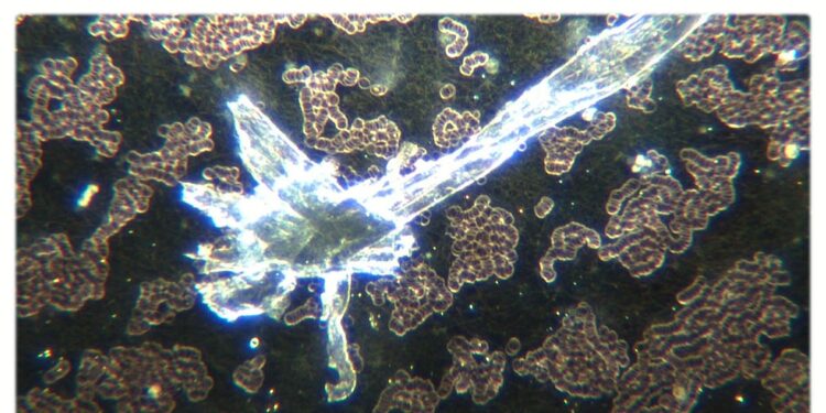 The Role of Hydrogels as Programmable Human Interface in COVID Vaccine