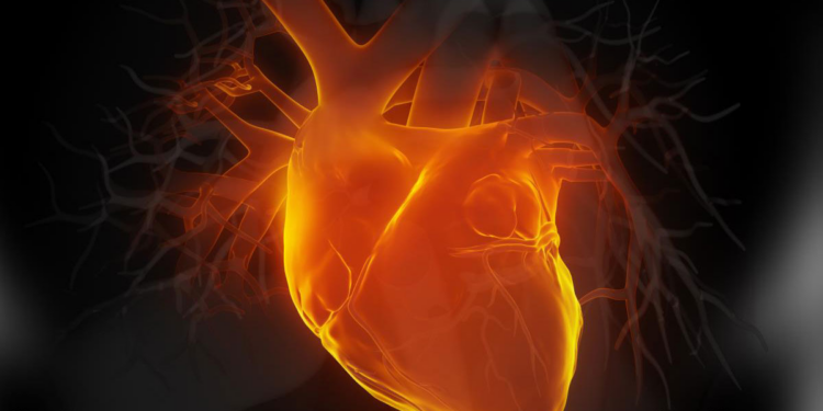 Potential Heart Injuries Linked to COVID-19 Vaccines Estimated at Over 7M Americans, Says Cardiologist