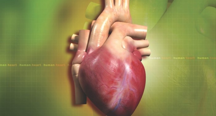 Studies Find Heart Scarring Detected More Than a Year Post COVID-19 Vaccination