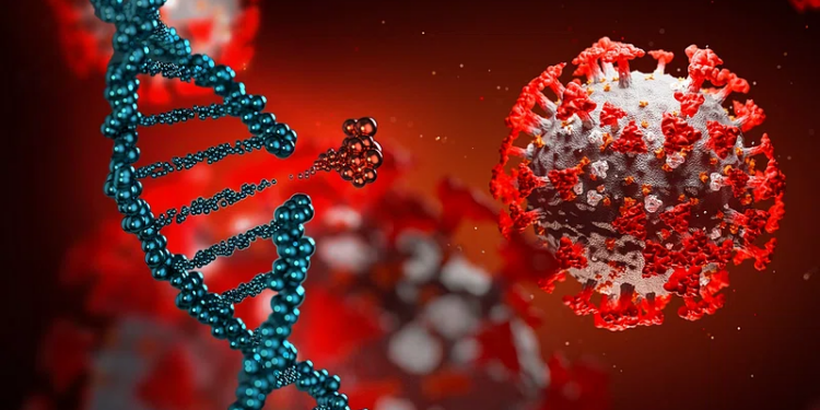 Effective Methods for DNA Healing Post-COVID Injuries