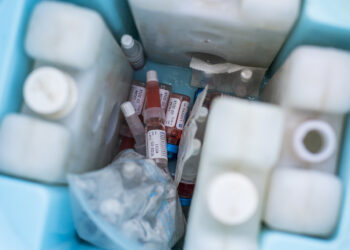 Polio Vaccination Campaign in South Sudan