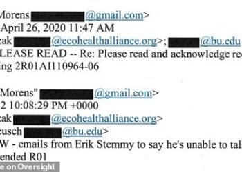 Republican alleges Dr. Fauci's top aide concealed COVID messages using Gmail