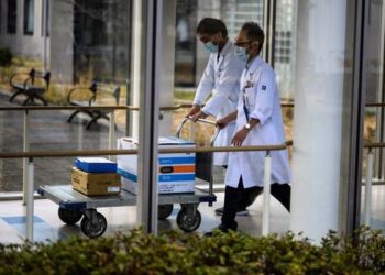 Study Reveals 115,000 Excess Deaths in Japan After Administering Third COVID Shot