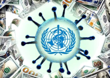 The Impact of the COVID Pandemic on Wealth Inequality and the Upcoming Plans of the WHO