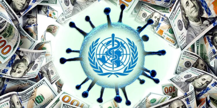 The Impact of the COVID Pandemic on Wealth Inequality and the Upcoming Plans of the WHO