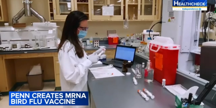 Scientists Funded by NIH Successfully Develop mRNA Bird Flu Vaccine to “Protect Against Human Infections”