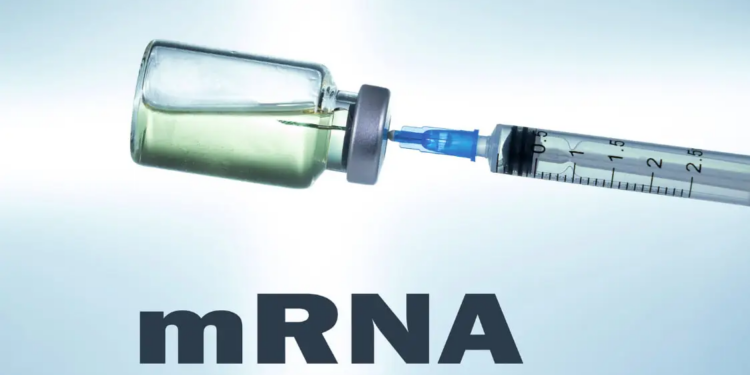 FDA Grants Approval to Moderna&#8217;s mRNA RSV Vaccine Despite Lack of Long-Term Safety Data