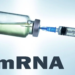 Moderna Seeks Significant Taxpayer Funding for Development of mRNA Bird Flu Vaccine