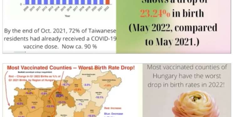 Lack of Information on Vaccine Damage During Pregnancy: A Concerning Issue