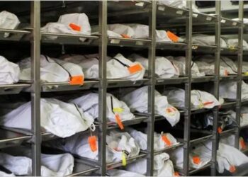 Vaccine Mandates, Not COVID, Identified as the Primary Cause of Excess Mortality in Largest Study